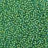 TOHO Round Seed Beads X-SEED-TR08-0307-2