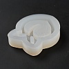 DIY Peach Shape Quicksand Silicone Molds X-DIY-E048-03-4