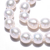 Natural Keshi Pearl Beads Strands PEAR-S020-L12-3