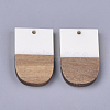 Resin & Walnut Wood Pendants X-RESI-S358-34C-2