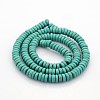Synthetic Turquoise Beads Strands X-G-J184-01-2