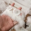 Polyester Embroidery Lace Ribbons OCOR-WH0090-011-3