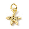 Brass Micro Pave Cubic Zirconia Charms ZIRC-F132-25G-2