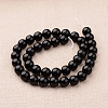 Polished Round Grade A Shell Pearl Bead Strands BSHE-M027-10mm-08-2