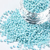 Glass Seed Beads SEED-S060-A-967-1