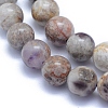 Natural Chevron Amethyst Beads Strands X-G-L552H-06B-2