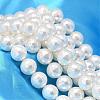 Faceted Round Shell Pearl Bead Strands BSHE-L012-8mm-A013-1