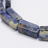 Natural Sodalite Stone Beads Strands G-E342-01-3