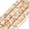 Natural Trochus Shell Beads Strands BSHE-E030-09A-02-1