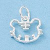 925 Sterling Silver Charms STER-D034-01S-1