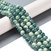 Baking Paint Glass Bead Strands GLAA-H031-01B-07-2