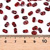 Picasso Spray Painted Glass Seed Beads SEED-T006-04-34-4