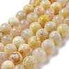 Faceted Natural Fire Crackle Agate Beads Strands G-F447-12mm-H02-1