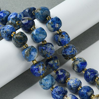 Natural Lapis Lazuli Beads Strands G-Q010-A03-01-1