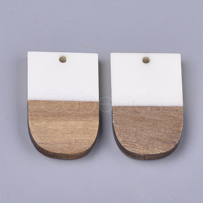 Resin & Walnut Wood Pendants X-RESI-S358-34C-1