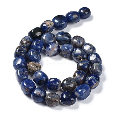 Natural Sodalite Beads Strands G-C038-02E-1