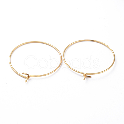 316 Surgical Stainless Steel Hoop Earring Findings STAS-J025-01C-G-1