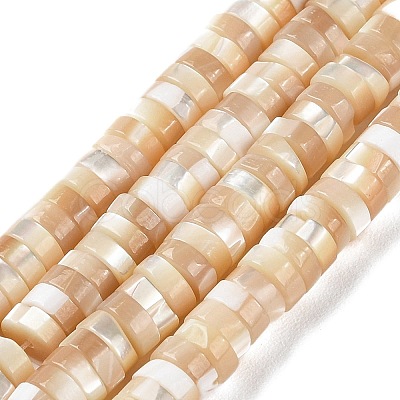 Natural Trochus Shell Beads Strands BSHE-E030-09A-02-1