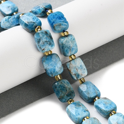 Natural Apatite Beads Strands G-H061-A04-01-1