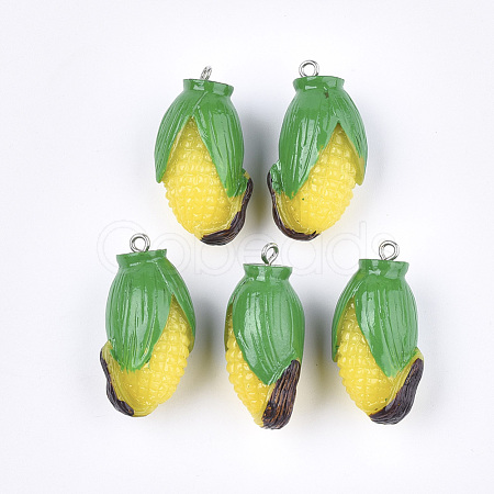 Resin Pendants RESI-T028-50-1