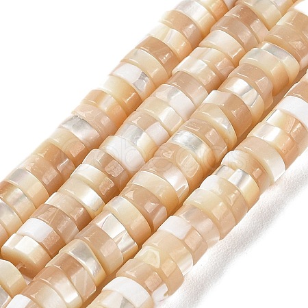 Natural Trochus Shell Beads Strands BSHE-E030-09A-02-1