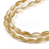 Natural Trochus Shell Beads Strands BSHE-G036-06A-3