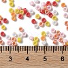 Baking Paint Glass Seed Beads X-SEED-S042-05A-07-4