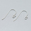 925 Sterling Silver Earring Hooks STER-T002-174S-2