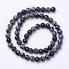 Natural Snowflake Obsidian Beads Strands G-D855-11-6mm-2