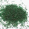 6/0 Transparent Glass Round Seed Beads X-SEED-J010-F6-37-2