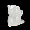 Bear Luminous Resin Display Decorations DJEW-F023-A03-3