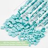 Nbeads 452Pcs 2 Style 2-Hole Glass Seed Beads SEED-NB0001-73-6