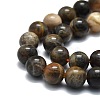 Natural Black Sunstone Beads Strands G-E576-01B-3