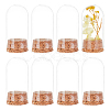 Transparent Glass Dome Jar Cloche Display Cases AJEW-WH0329-72A-1