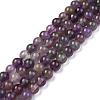 Natural Amethyst Beads Strands G-I256-02C-A-10