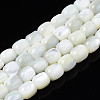 Natural Trochid Shell/Trochus Beads Strands SSHEL-N027-130B-01-1