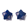 Natural Lapis Lazuli Charms X-G-H241-04A-2