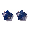 Natural Lapis Lazuli Charms X-G-H241-04A-2