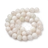 Natural Grey Moonstone Beads Strands G-I279-C01-10mm-A-2