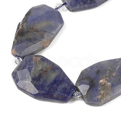 Natural Sodalite Beads Strands G-P548-B24-01-1