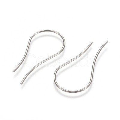 Tarnish Resistant 304 Stainless Steel Earring Hooks X-STAS-E482-20P-1