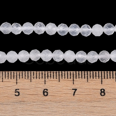 Natural Quartz Crystal Beads Strands X-G-H002-A02-02-1