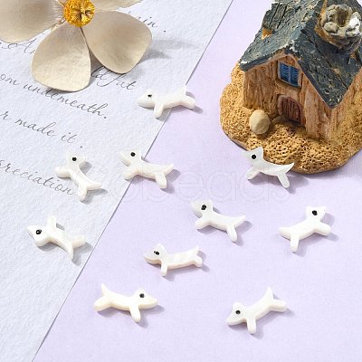 10Pcs Puppy Natural Freshwater Shell Beads SHEL-CJ0001-28-1