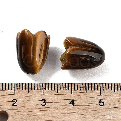 Natural Tiger Eye Beads G-A222-03E-1