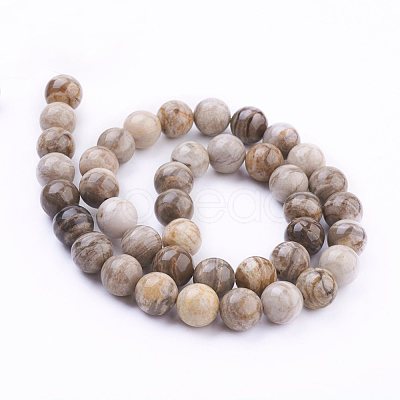 Natural Silver Leaf Jasper Beads Strands G-G683-01-10mm-1