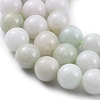 Natural Jadeite Beads Strands G-F662-02B-8mm-3