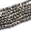 Natural Dalmatian Jasper Round Bead Strands G-J303-19-8mm-1