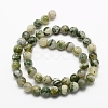 Natural Tree Agate Beads Strands G-K194-10mm-02-3