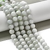 Natural Myanmar Jadeite Beads Strands G-L595-C01-03-2