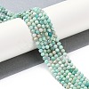 Natural Amazonite Beads Strands G-G139-A15-03-2